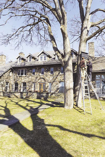John Spaccarelli, Director of Special Projects and Michael Lambros, caretaker at the Calder Center, install one of two bat houses on trees by the Calder Center. Photo by Chris Taggart