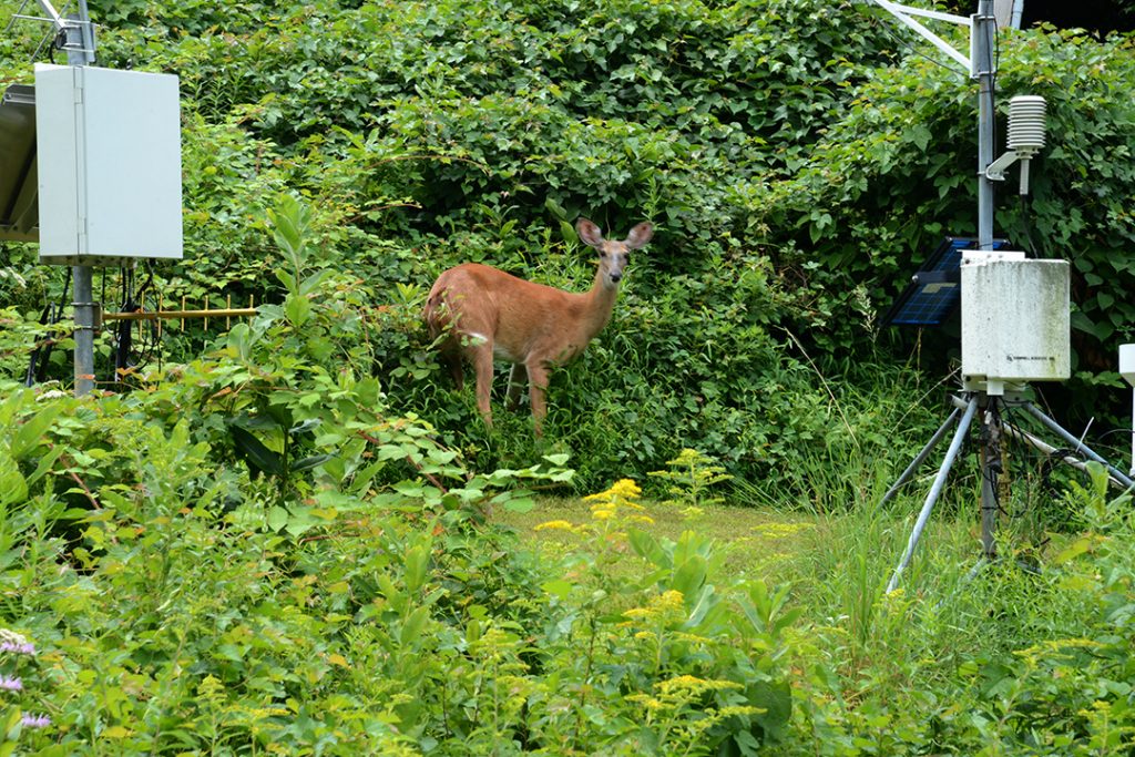 August at Calder Center