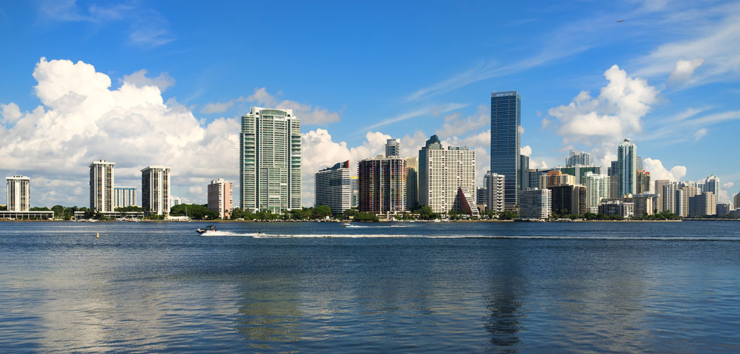 Miami Skyline