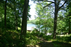 A footpath leads down through the woods to the Lake House, which now houses skiffs on the ground floor and a classroom on the second floor.