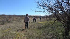 Faculty members walk in the brush