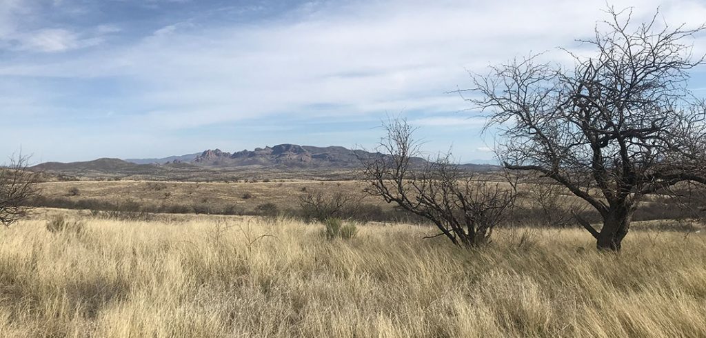 A view of the hilly, semi-arid terrain near Nogales, Arizona, not far from the U.S.-Mexico border