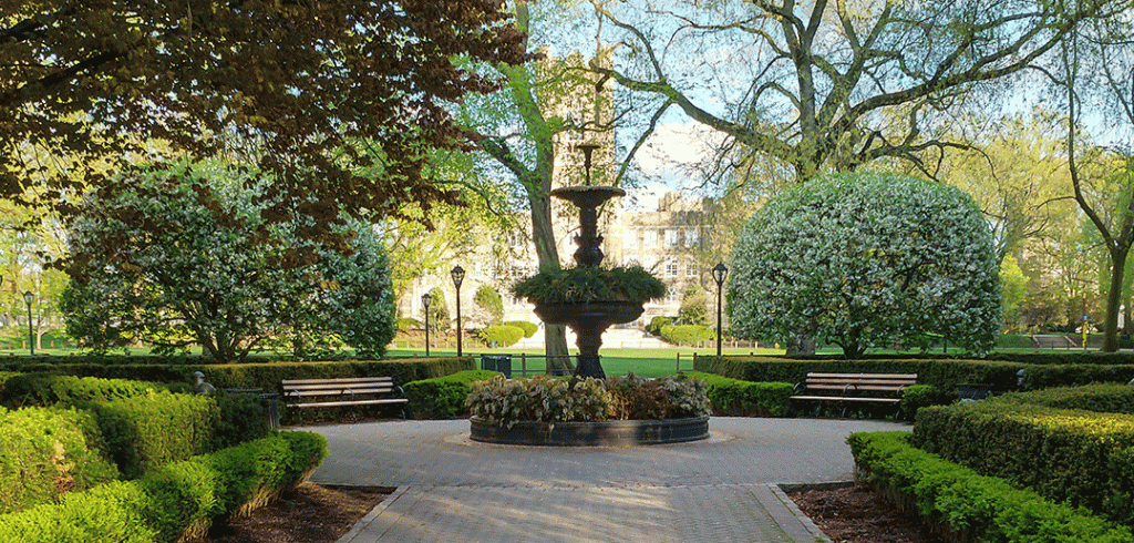 Cunniffe Fountain, Rose Hill