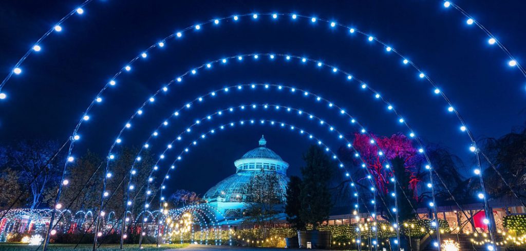 Lights at the Botanical Garden