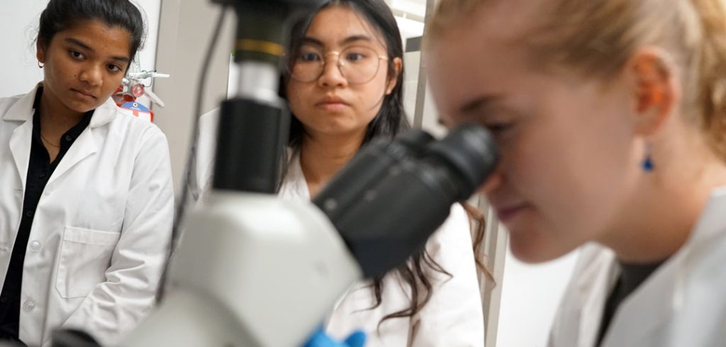 Students look into a microscope