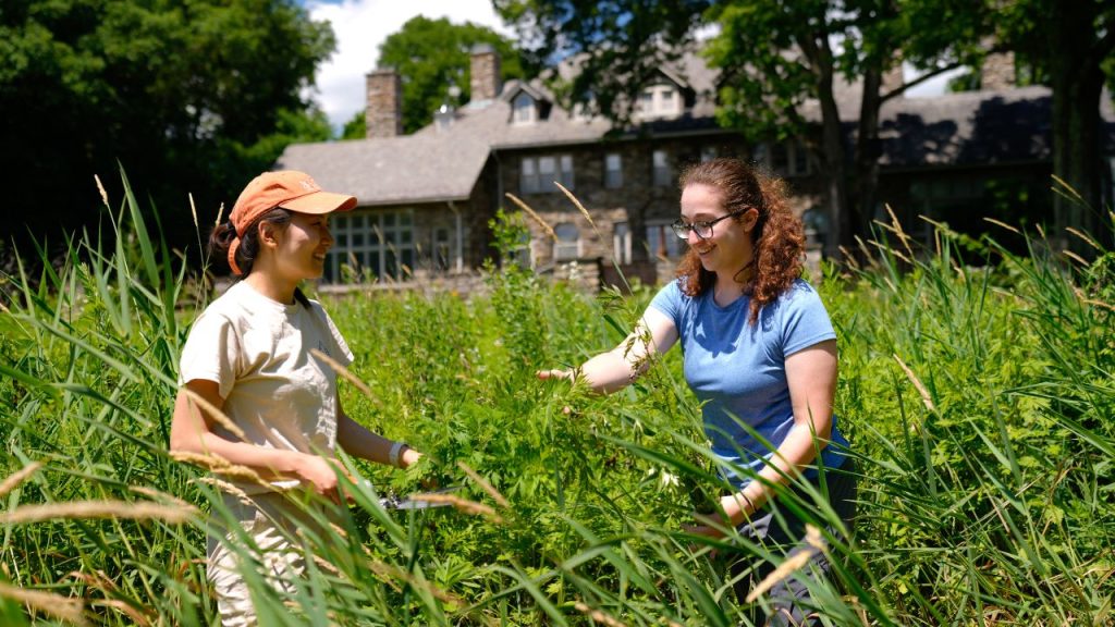 Two women stand in a field at Fordham's Calder Center, representing green degrees to fight climate change